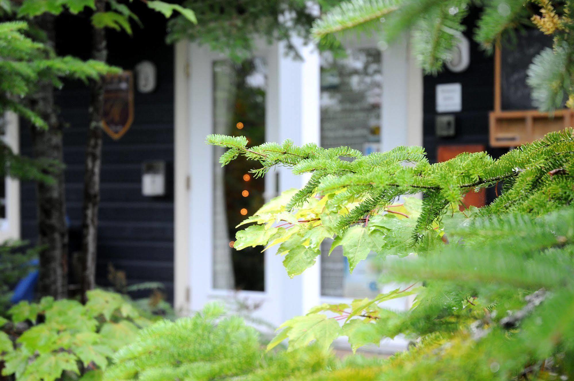 Maison De Vebron Pansiyon LʼAnse-Saint-Jean Dış mekan fotoğraf